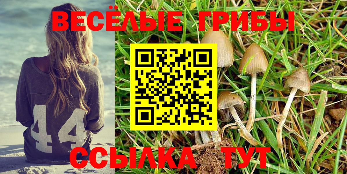 Псилоцибиновые грибы Magic Shrooms Камень-на-Оби